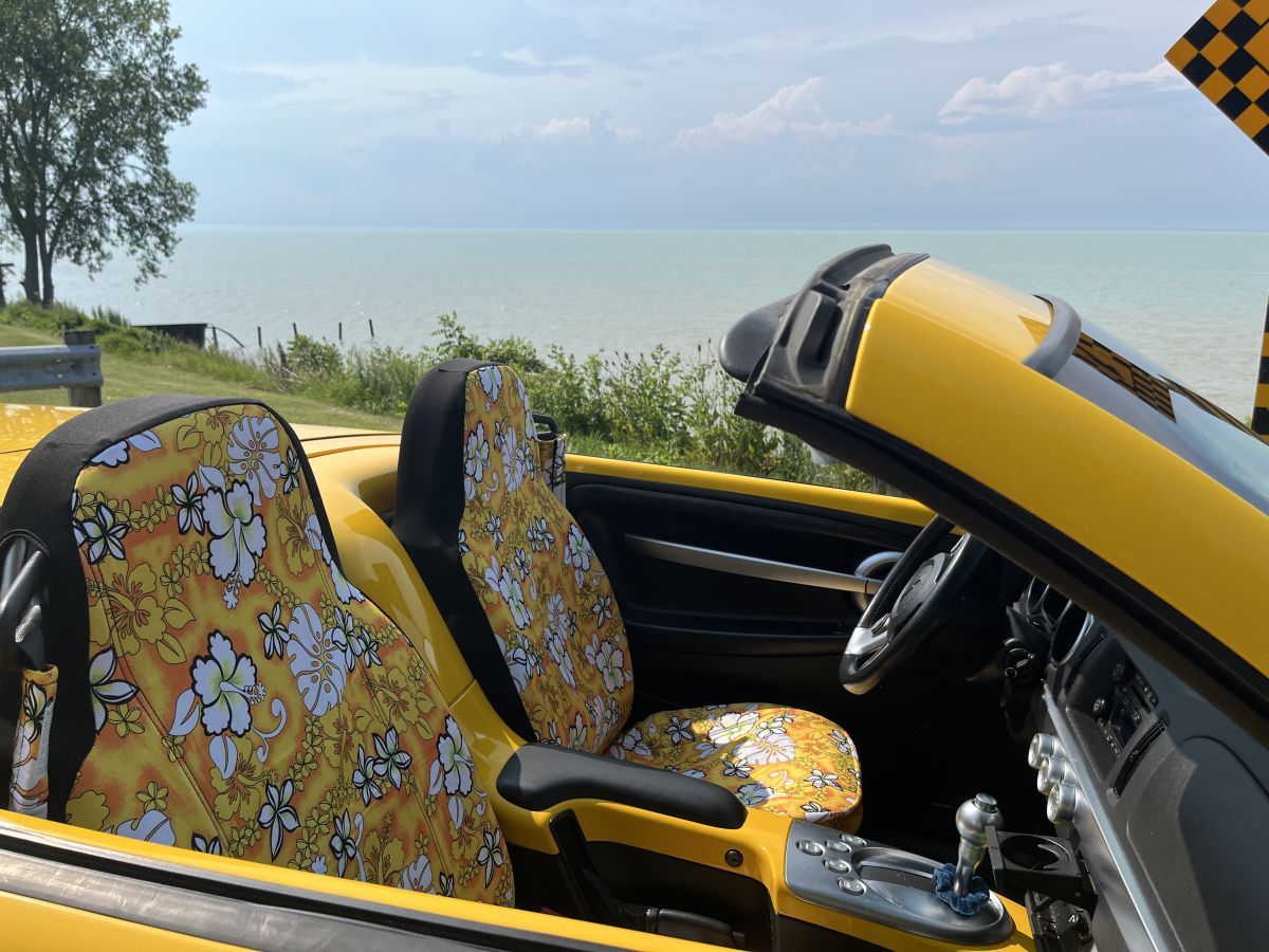 Green Palm Tree Hawaiin Print Car Seat Covers