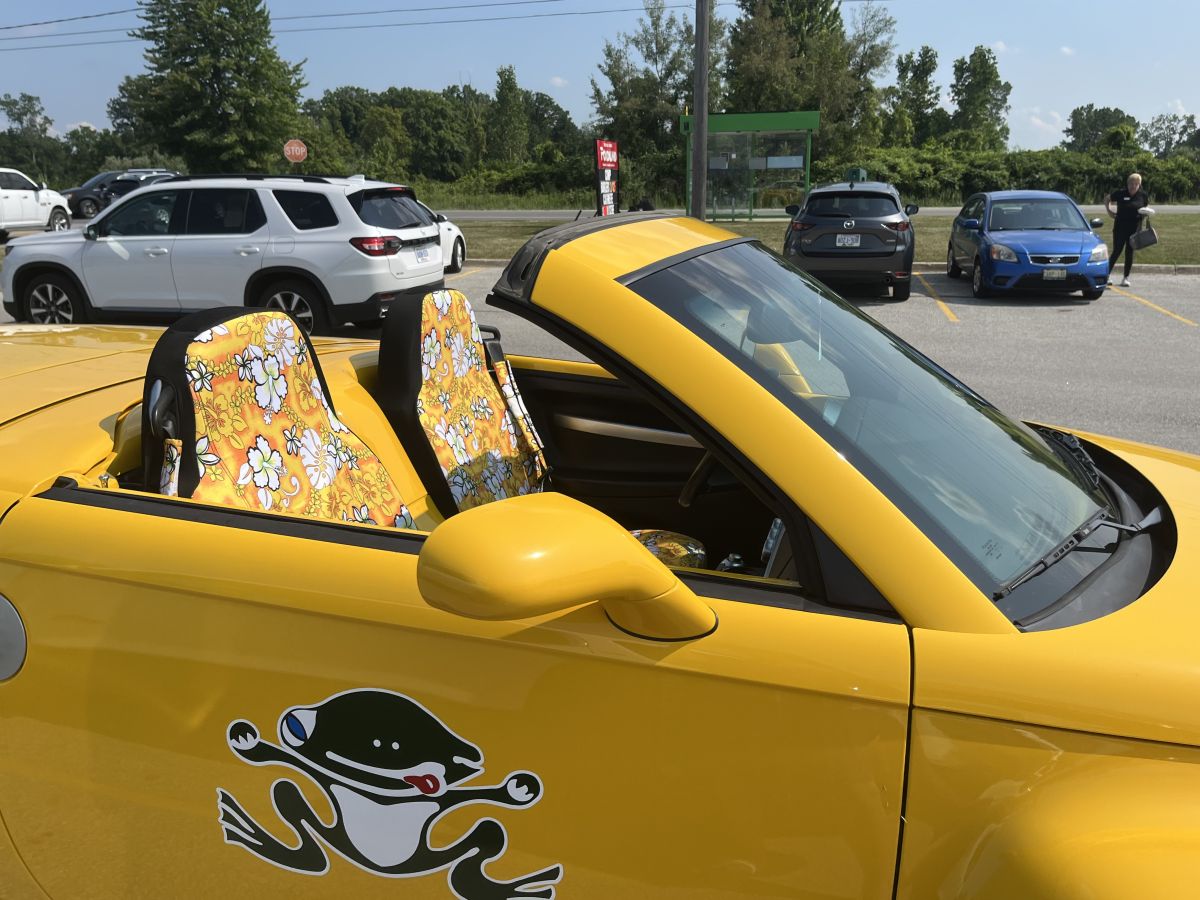 Tropical Palm Lead Island Print Pet Car Seat Cover