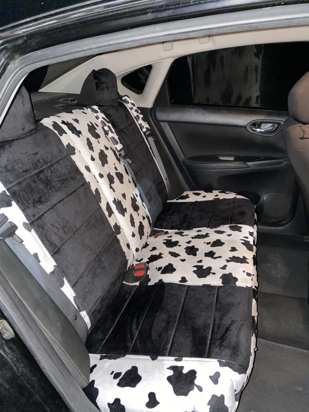 Pitbull Print Car Seat Covers