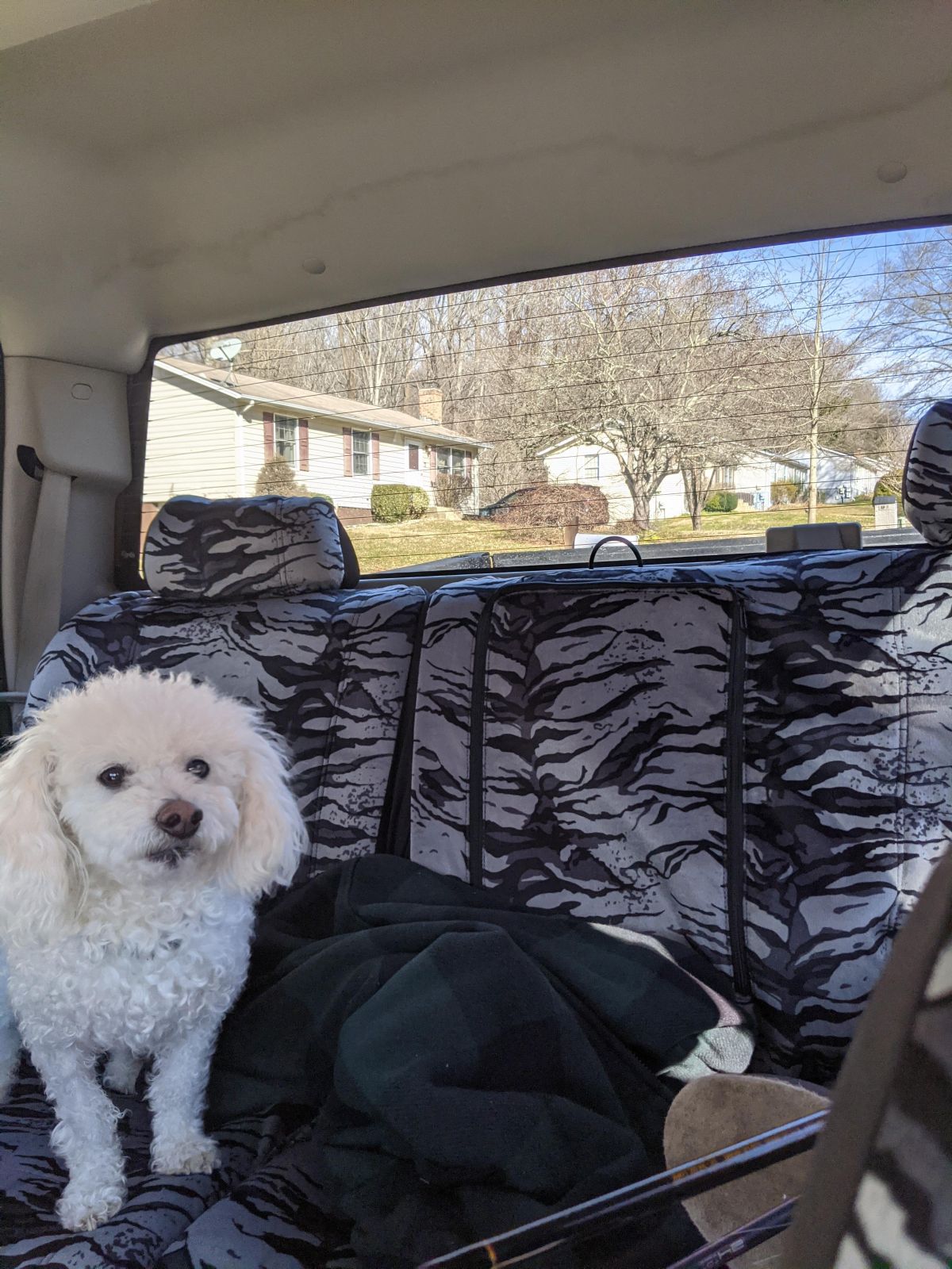 Veterianary Print Pattern Universal Fit Car Seat Covers