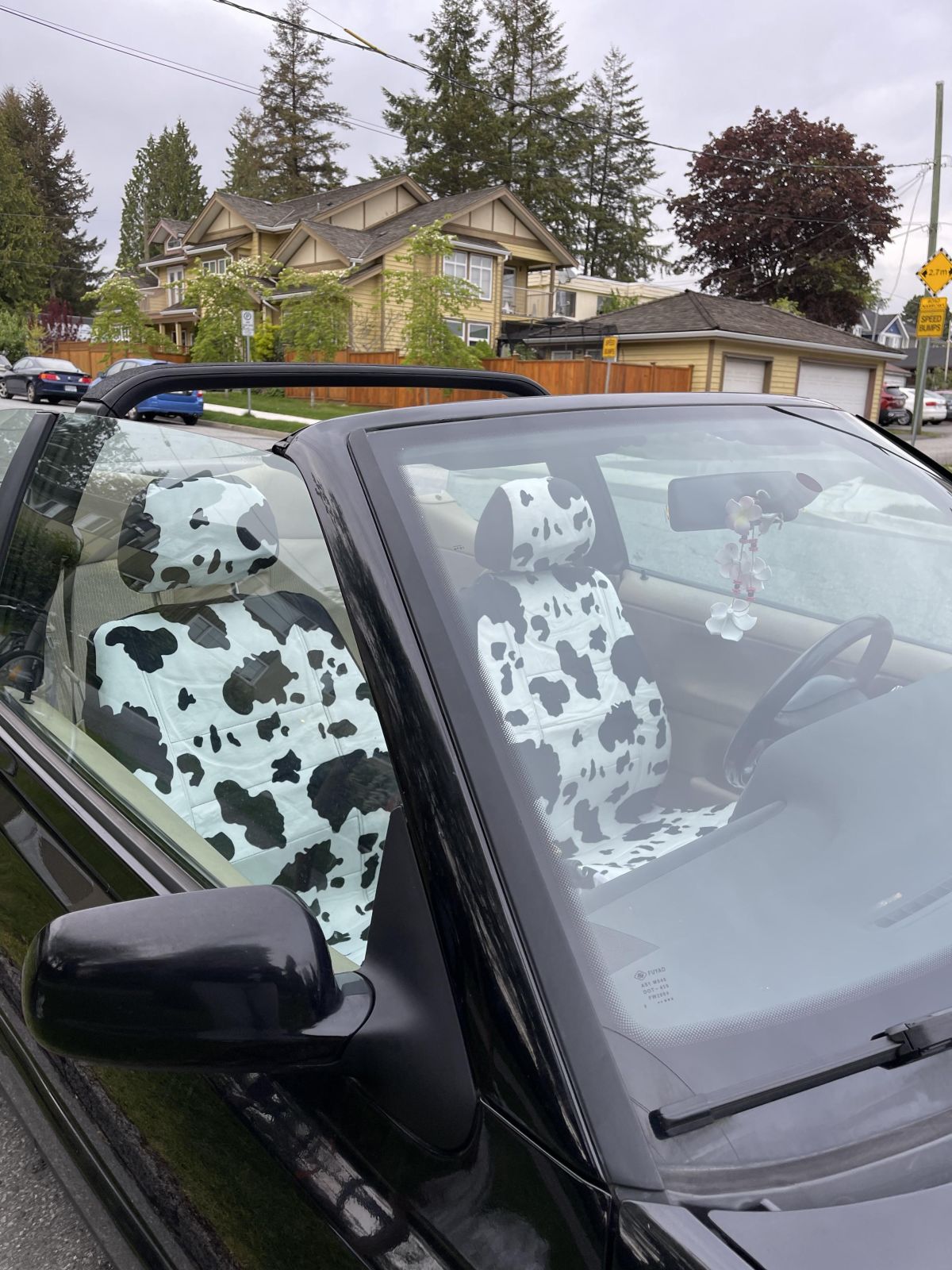 Bigfoot Blue Pattern Print Pet Car Seat Cover