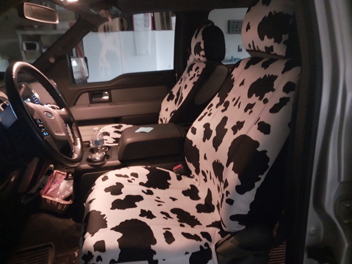 Pig Hand Drawn Pattern Print Universal Fit Car Seat Cover
